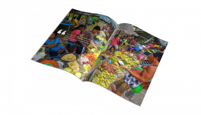 Capturing and documenting the impact of through Millenium Challenge Corp, through a Coffee Table Book