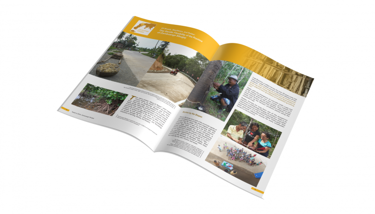 Roads2SDGs: Design and Dissemination of Videos and Magazines promoting Good Governance