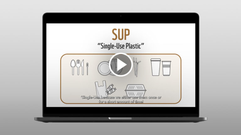 Advocacy and Campaigns for Clean Ports, Clean Oceans: Improving Port Waste Management in the Philippines